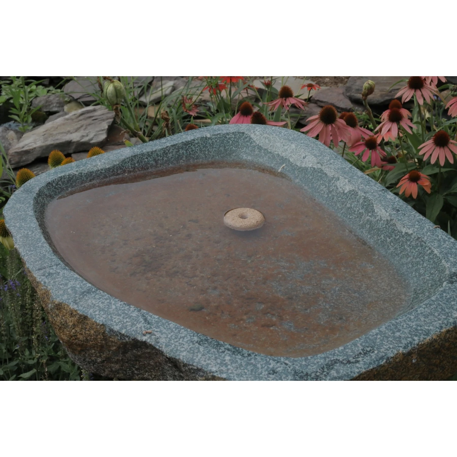 Summit Mosquito Dunks Larvae Control Tablets, 20 Count 6 Summit Mosquito Dunks Larvae Control Tablets, 20 Count - Image 4