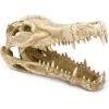 Penn-Plax Gator Skull Aquarium Ornament -Plax Penn Shop 303228 MAIN. AC SS1800 V1625877090