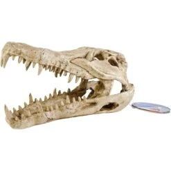 Penn-Plax Gator Skull Aquarium Ornament -Plax Penn Shop 303228 PT1. AC SS1800 V1668105157