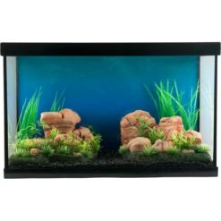 Penn-Plax Natural Tank Decor Aquarium Ornament, 2 Count -Plax Penn Shop 303250 PT3. AC SS1800 V1644020215