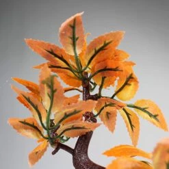 Penn-Plax Bonsai Aquarium Ornament -Plax Penn Shop 303264 PT2. AC SS1800 V1668105153