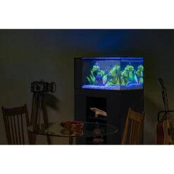 GloFish Mangrove Aquarium Plant 18 GloFish Mangrove Aquarium Plant -Plax Penn Shop 306801 PT7. AC SS1800 V1624318106