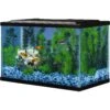 Tetra Glass Aquarium 2 Tetra Glass Aquarium -Plax Penn Shop 313139 MAIN. AC SS1800 V1627302387