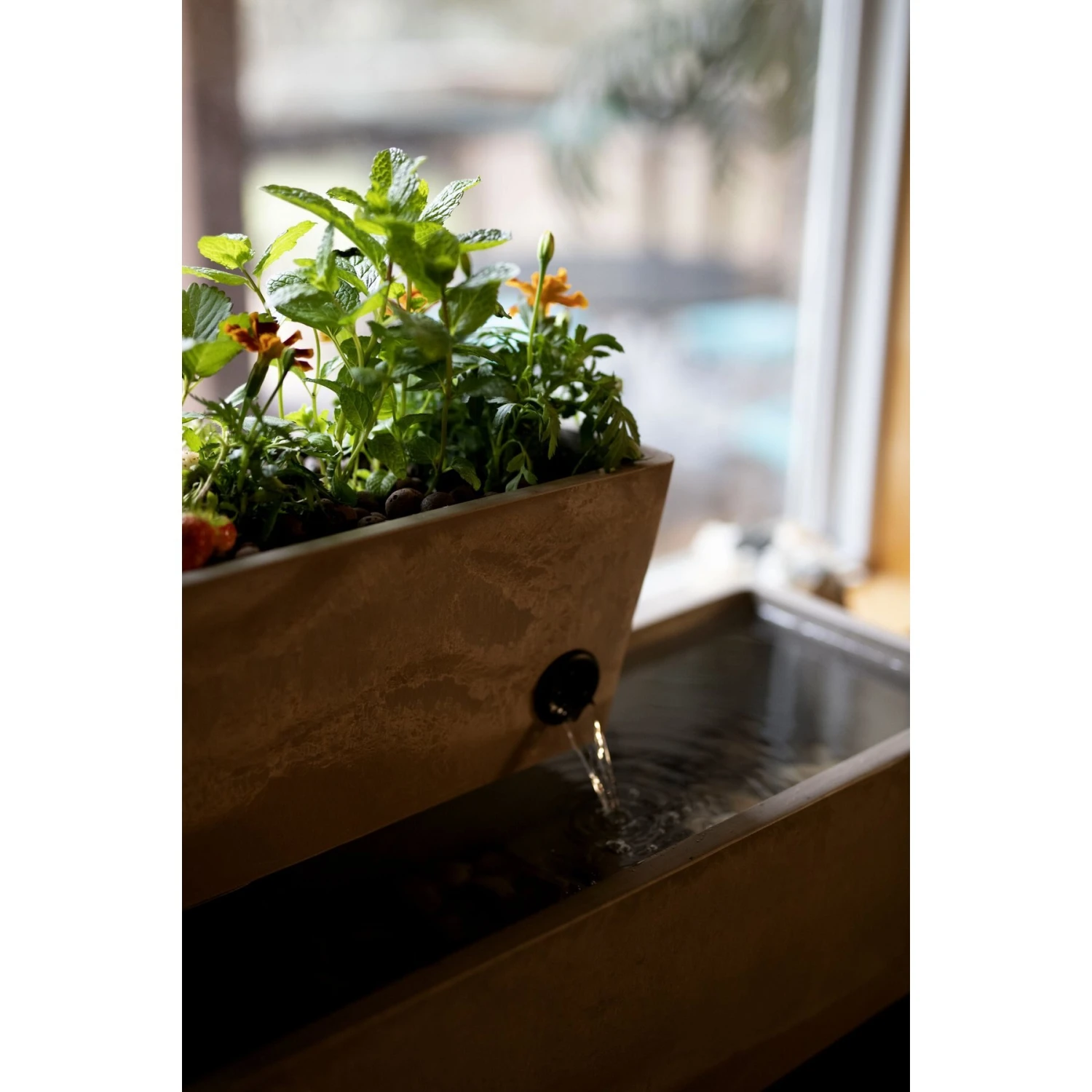 AquaSprouts Fountain Aquaponics Ecosystem Kit, Taupe, 6-gal 6 AquaSprouts Fountain Aquaponics Ecosystem Kit, Taupe, 6-gal - Image 4