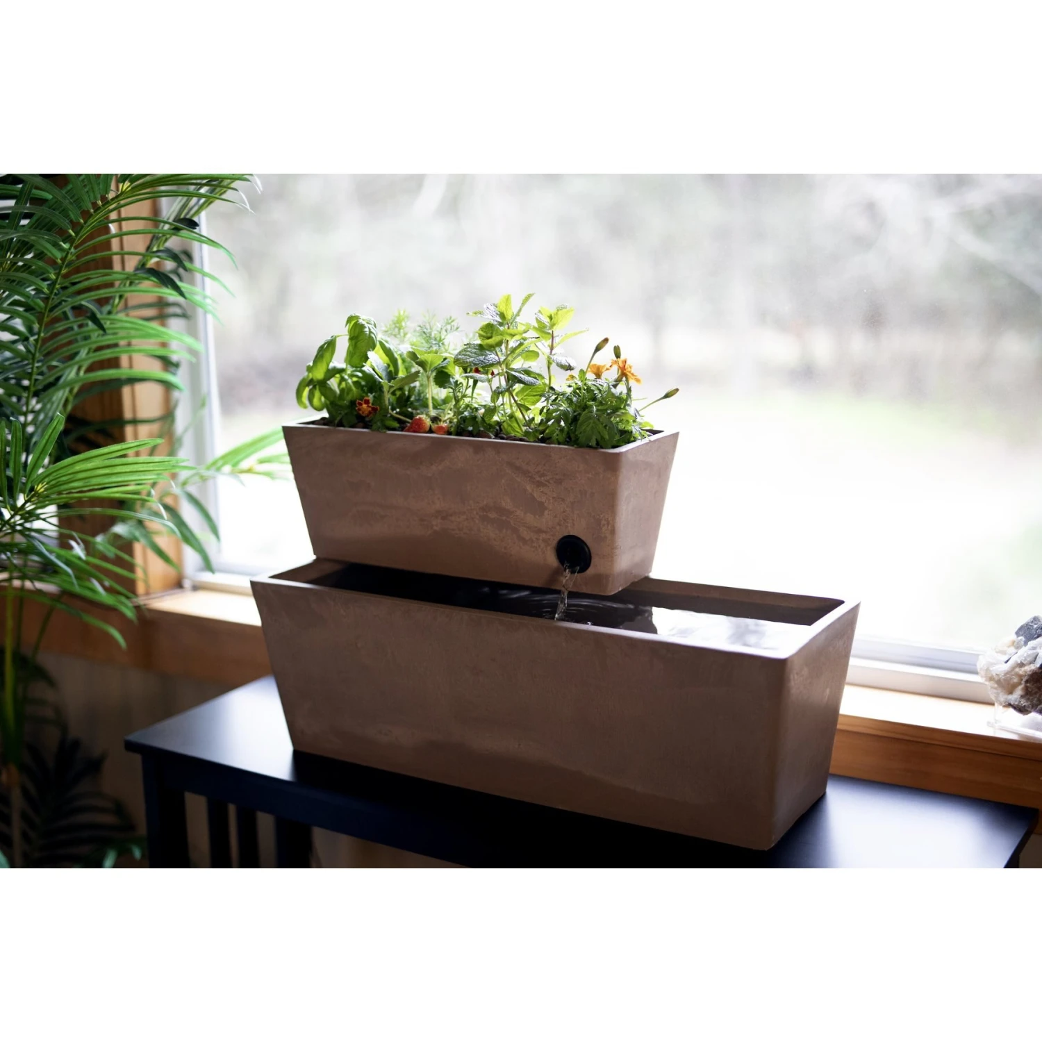 AquaSprouts Fountain Aquaponics Ecosystem Kit, Taupe, 6-gal 9 AquaSprouts Fountain Aquaponics Ecosystem Kit, Taupe, 6-gal - Image 7