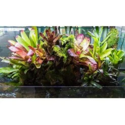 AquaSprouts Horticultural LED Grow Light Bar, 2-ft -Plax Penn Shop 315389 PT4. AC SS1800 V1626390690