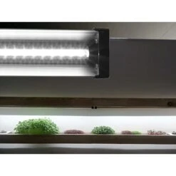 AquaSprouts Horticultural LED Grow Light Bar, 2-ft -Plax Penn Shop 315389 PT7. AC SS1800 V1626396415