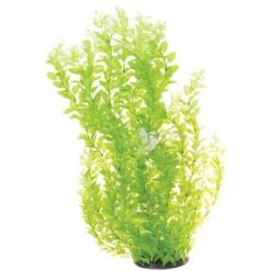 Underwater Treasures White Tipped Cardamine Fish Aquarium Ornament