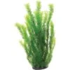 Underwater Treasures Cabomba Fish Aquarium Ornament -Plax Penn Shop 315906 MAIN. AC SS1800 V1626913575