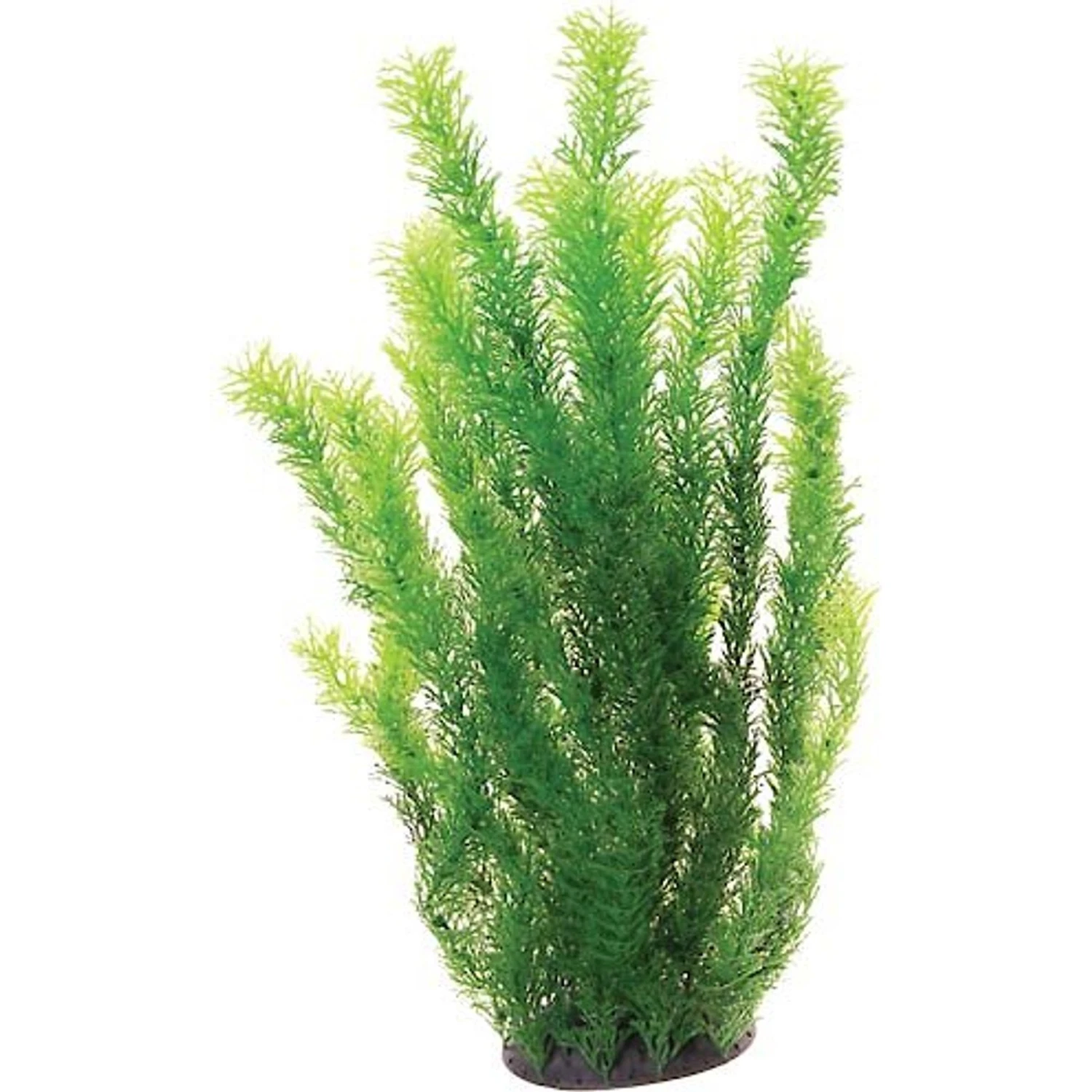 Underwater Treasures Cabomba Fish Aquarium Ornament 3 Underwater Treasures Cabomba Fish Aquarium Ornament