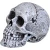 Underwater Treasures Mini Skull Fish Aquarium Ornament -Plax Penn Shop 315919 MAIN. AC SS1800 V1626913569