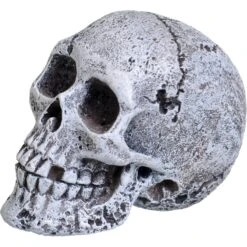 Underwater Treasures Mini Skull Fish Aquarium Ornament