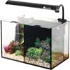 Underwater Treasures Aqua One Betta Duo Aquarium, 5.3-gal -Plax Penn Shop 316014 MAIN. AC SS1800 V1626912973