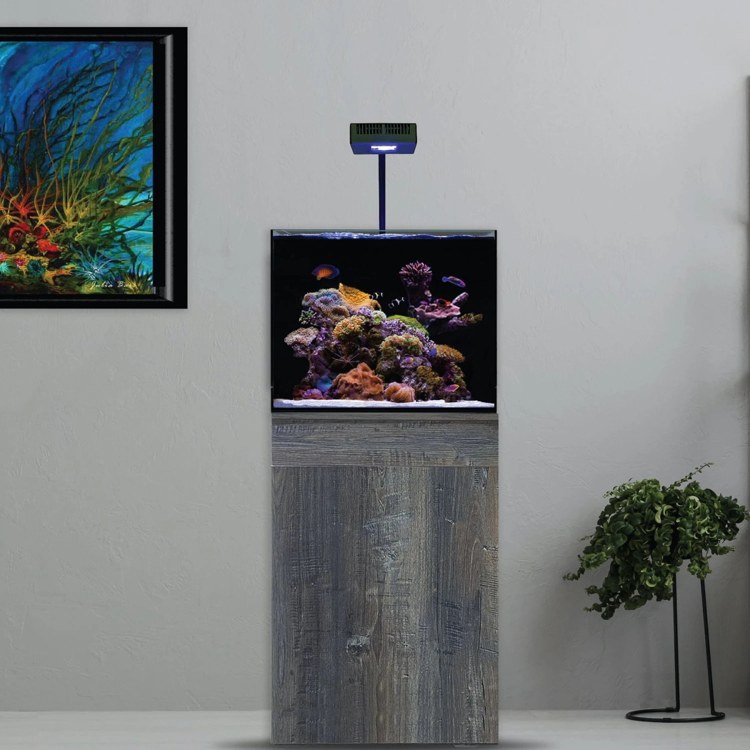 Current USA Orbit R24 LED Reef Aquarium Light 4 Current USA Orbit R24 LED Reef Aquarium Light - Image 2