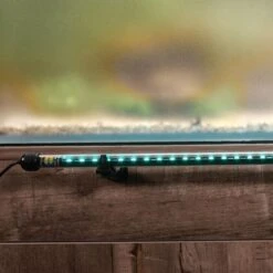 Current USA LightSerene Background LED Aquarium Light Kit -Plax Penn Shop 316530 PT1. AC SS1800 V1628116386