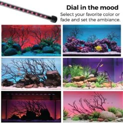 Current USA LightSerene Background LED Aquarium Light Kit -Plax Penn Shop 316530 PT2. AC SS1800 V1628121731