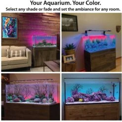 Current USA LightSerene Background LED Aquarium Light Kit -Plax Penn Shop 316530 PT4. AC SS1800 V1628117239