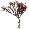 Current USA Weighted Base Bayou Manzanita Branch Aquarium Plant -Plax Penn Shop 316546 MAIN. AC SS1800 V1628117553