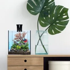 Current USA Weighted Base Bayou Manzanita Branch Aquarium Plant -Plax Penn Shop 316546 PT1. AC SS1800 V1628117179