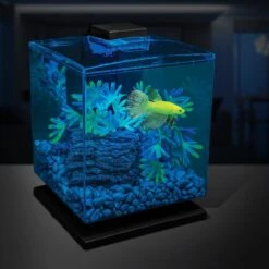 GloFish Fluorescent Aquarium Gravel -Plax Penn Shop 325470 PT3. AC SS1800 V1629927692
