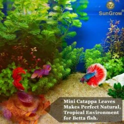 SunGrow Mini Freshwater Indian Almond Leaves Aquarium Water Conditioner For Betta Fish & Shrimp, 50 Count 11 SunGrow Mini Freshwater Indian Almond Leaves Aquarium Water Conditioner For Betta Fish & Shrimp, 50 Count -Plax Penn Shop 326827 PT3. AC SS1800 V1630680670