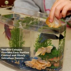 SunGrow Mini Freshwater Indian Almond Leaves Aquarium Water Conditioner For Betta Fish & Shrimp, 50 Count 12 SunGrow Mini Freshwater Indian Almond Leaves Aquarium Water Conditioner For Betta Fish & Shrimp, 50 Count -Plax Penn Shop 326827 PT4. AC SS1800 V1630680724