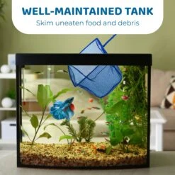 SunGrow Safe Aquarium Cleaning Fine Mesh Betta Fish Net -Plax Penn Shop 326833 PT2. AC SS1800 V1695055438