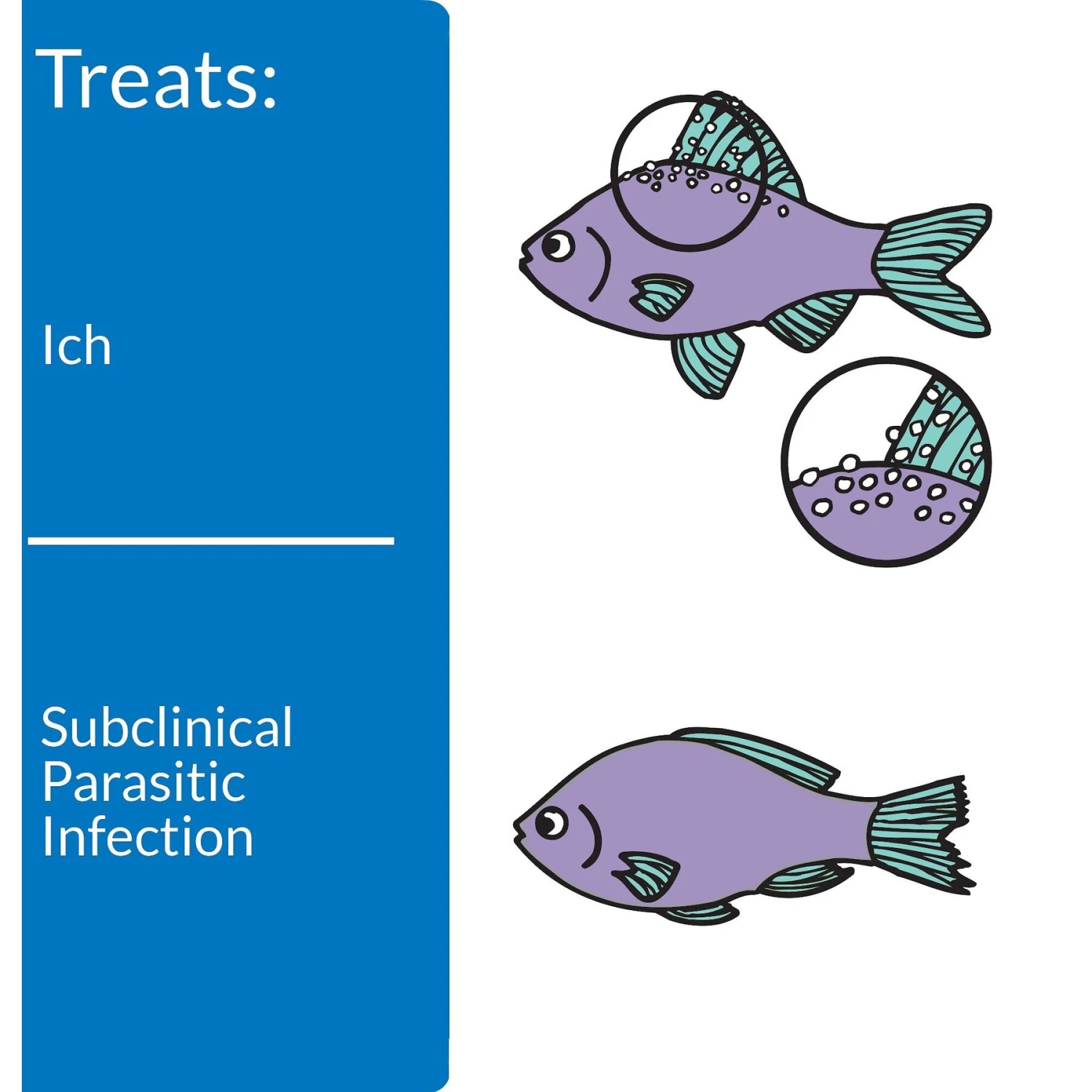 API LIQUID SUPER ICK CURE Freshwater & Saltwater Fish Medication 4 API LIQUID SUPER ICK CURE Freshwater & Saltwater Fish Medication - Image 2