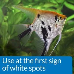 API LIQUID SUPER ICK CURE Freshwater & Saltwater Fish Medication 11 API LIQUID SUPER ICK CURE Freshwater & Saltwater Fish Medication -Plax Penn Shop 329401 PT2. AC SS1800 V1631685704