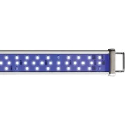 ASF Proten LED Marine Fish Aquarium Striplight -Plax Penn Shop 330824 PT2. AC SS1800 V1699393740