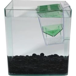 Penn-Plax Breed ‘n’ Show Plastic Tank -Plax Penn Shop 331077 PT2. AC SS1800 V1668104626
