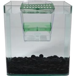 Penn-Plax Breed ‘n’ Show Plastic Tank -Plax Penn Shop 331077 PT3. AC SS1800 V1668105094
