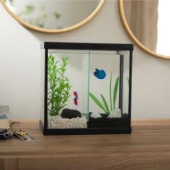 Frisco 2 Betta Aquarium With Divider/Top -Plax Penn Shop 345877 PT3. AC SS1800 V1646179136