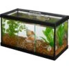 Frisco 3 Betta Aquarium With Divider/Top -Plax Penn Shop 345879 MAIN. AC SS1800 V1646176055