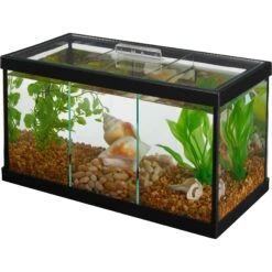 Frisco 3 Betta Aquarium With Divider/Top