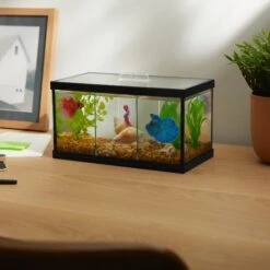 Frisco 3 Betta Aquarium With Divider/Top -Plax Penn Shop 345879 PT3. AC SS1800 V1646177333