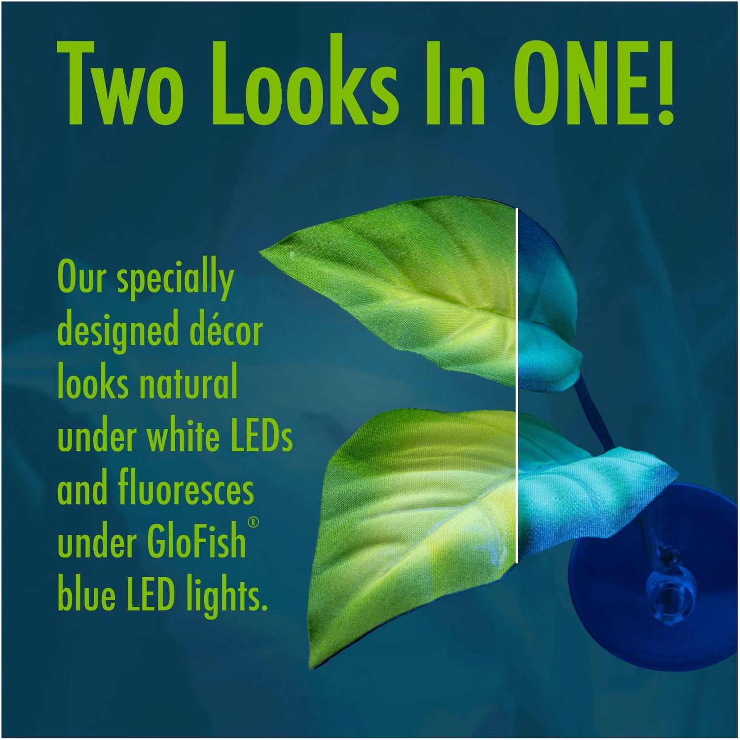 GloFish Betta Leaf Fish Artificial Plants 9 GloFish Betta Leaf Fish Artificial Plants - Image 7