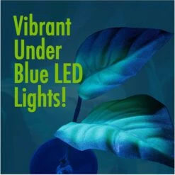 GloFish Betta Leaf Fish Artificial Plants 18 GloFish Betta Leaf Fish Artificial Plants -Plax Penn Shop 357901 PT7. AC SS1800 V1641339731