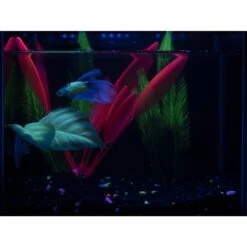 GloFish Betta Leaf Fish Artificial Plants 19 GloFish Betta Leaf Fish Artificial Plants -Plax Penn Shop 357901 PT8. AC SS1800 V1641336184