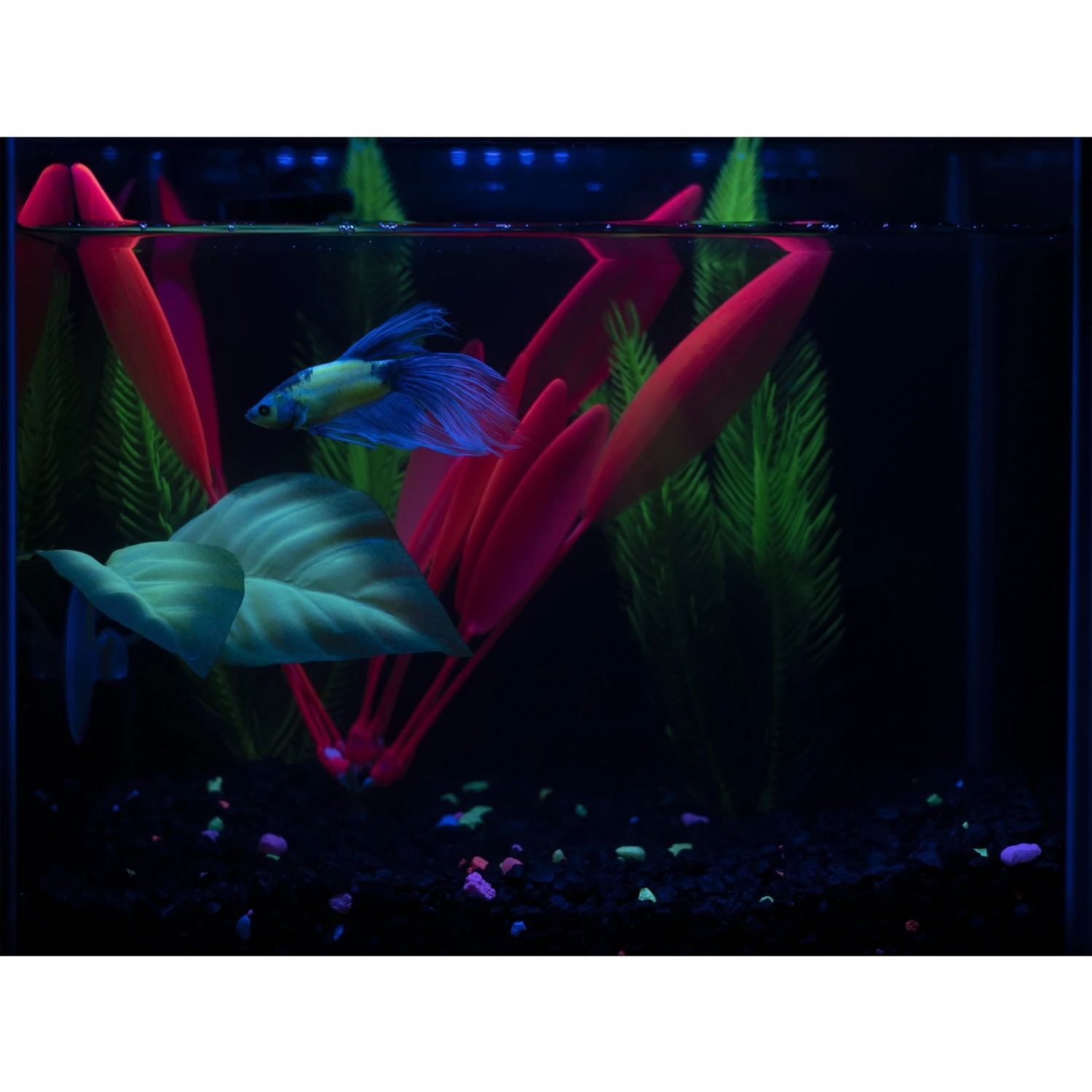GloFish Betta Leaf Fish Artificial Plants 11 GloFish Betta Leaf Fish Artificial Plants - Image 9