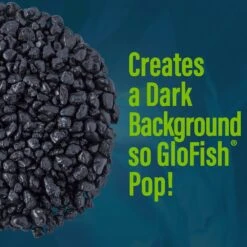 GloFish Aquarium Fish Gravel, Black, 5-lb -Plax Penn Shop 357903 PT4. AC SS1800 V1641333981
