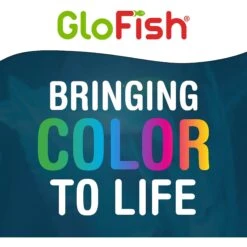 GloFish Aquarium Fish Gravel, Black, 5-lb -Plax Penn Shop 357903 PT6. AC SS1800 V1641340366