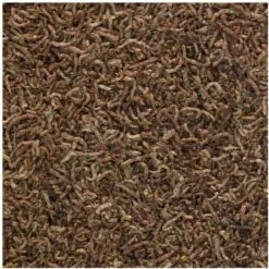 Tetra BloodWorms Freeze-Dried Fish Food, 0.25-oz Jar -Plax Penn Shop 370346 PT3. AC SS1800 V1701115441