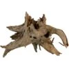 Underwater Treasures Eucalyptus Root Fish Wood -Plax Penn Shop 370402 MAIN. AC SS1800 V1645807900