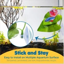 SunGrow African Dwarf Frog & Betta Bed Leaf Hammock With Suction Cups Fish Sleeping Pad Tank & Aquarium Plastic Plants, 3 Count 11 SunGrow African Dwarf Frog & Betta Bed Leaf Hammock With Suction Cups Fish Sleeping Pad Tank & Aquarium Plastic Plants, 3 Count -Plax Penn Shop 538350 PT3. AC SS1800 V1691674306