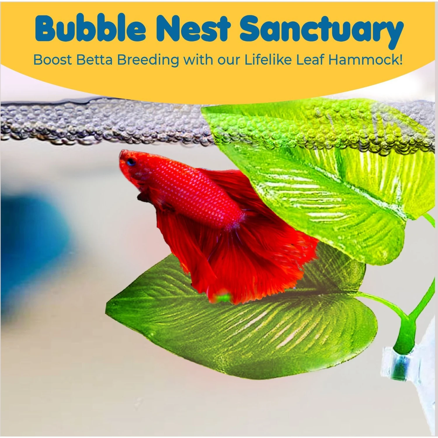 SunGrow African Dwarf Frog & Betta Bed Leaf Hammock With Suction Cups Fish Sleeping Pad Tank & Aquarium Plastic Plants, 3 Count 7 SunGrow African Dwarf Frog & Betta Bed Leaf Hammock With Suction Cups Fish Sleeping Pad Tank & Aquarium Plastic Plants, 3 Count - Image 5