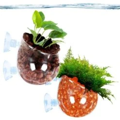 SunGrow Betta & Turtle Glass Pot For Aquarium Live Plant Reptile Terrarium Tank Decor, 2 Count