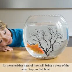 SunGrow Betta Fish Sea Fan Decoration Aquarium Ornament Accessories For Small Tank -Plax Penn Shop 539454 PT3. AC SS1800 V1653324130