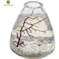 SunGrow Betta Fish Sea Fan Decoration Aquarium Ornament Accessories For Small Tank -Plax Penn Shop 539454 PT4. AC SS1800 V1657658877