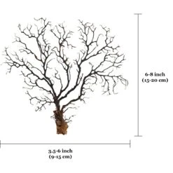 SunGrow Betta Fish Sea Fan Decoration Aquarium Ornament Accessories For Small Tank -Plax Penn Shop 539454 PT6. AC SS1800 V1657658877